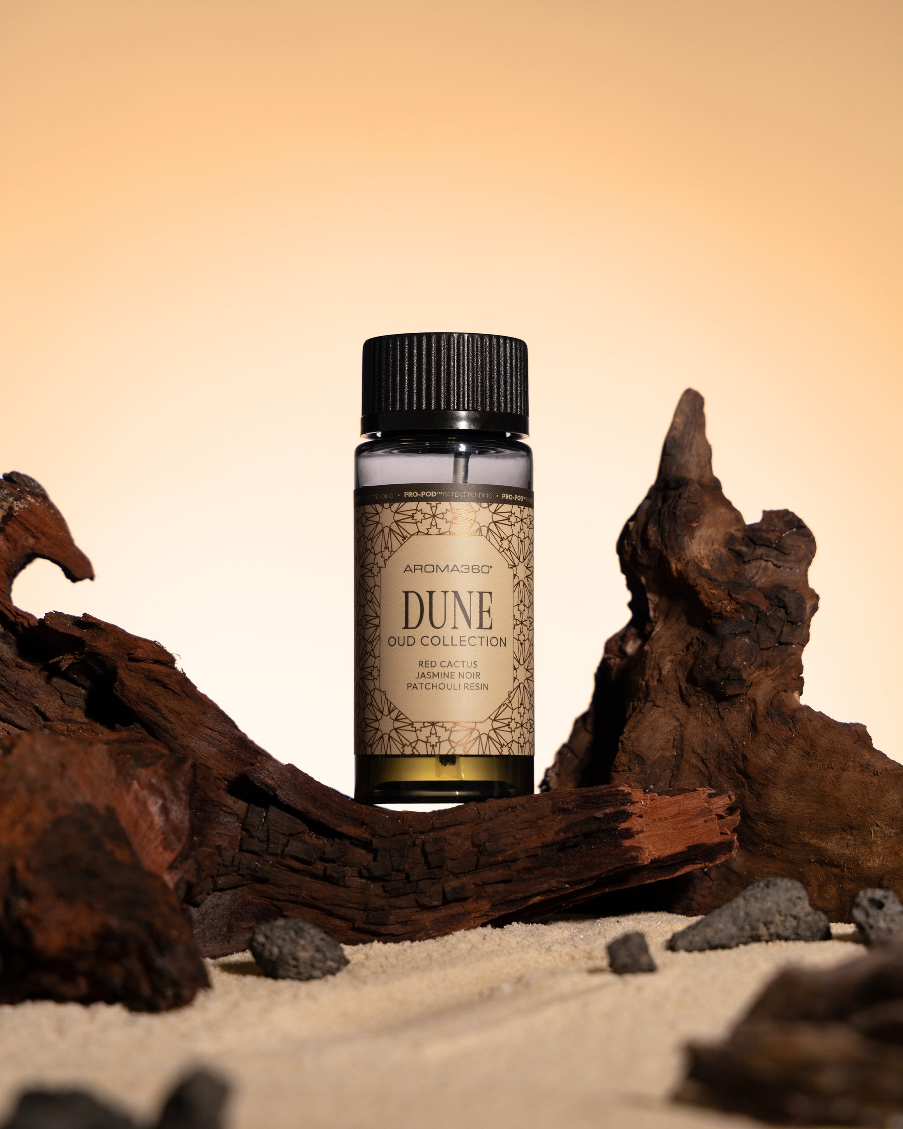 Dune