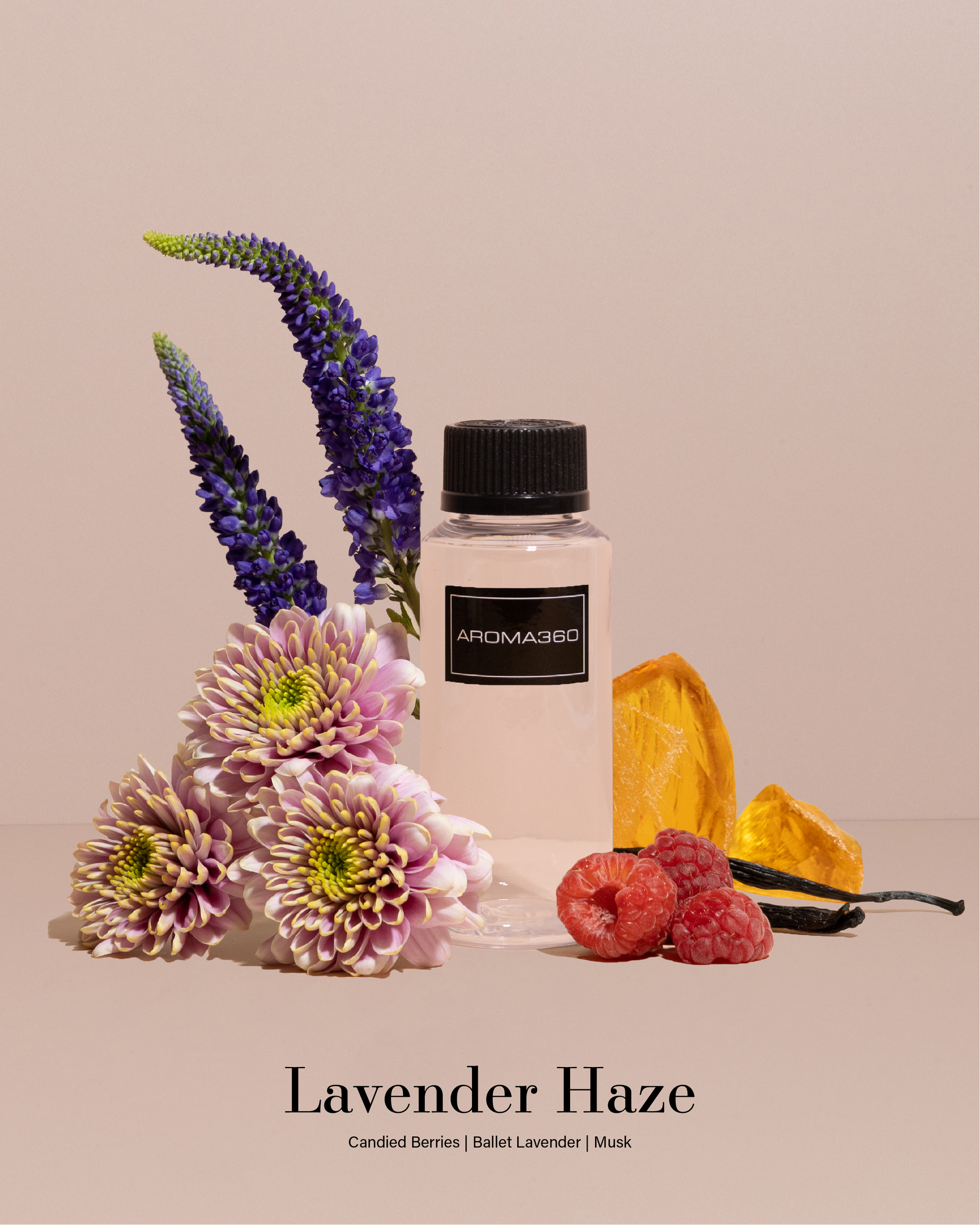 Seasonal Collection (Summer) Discovery Set