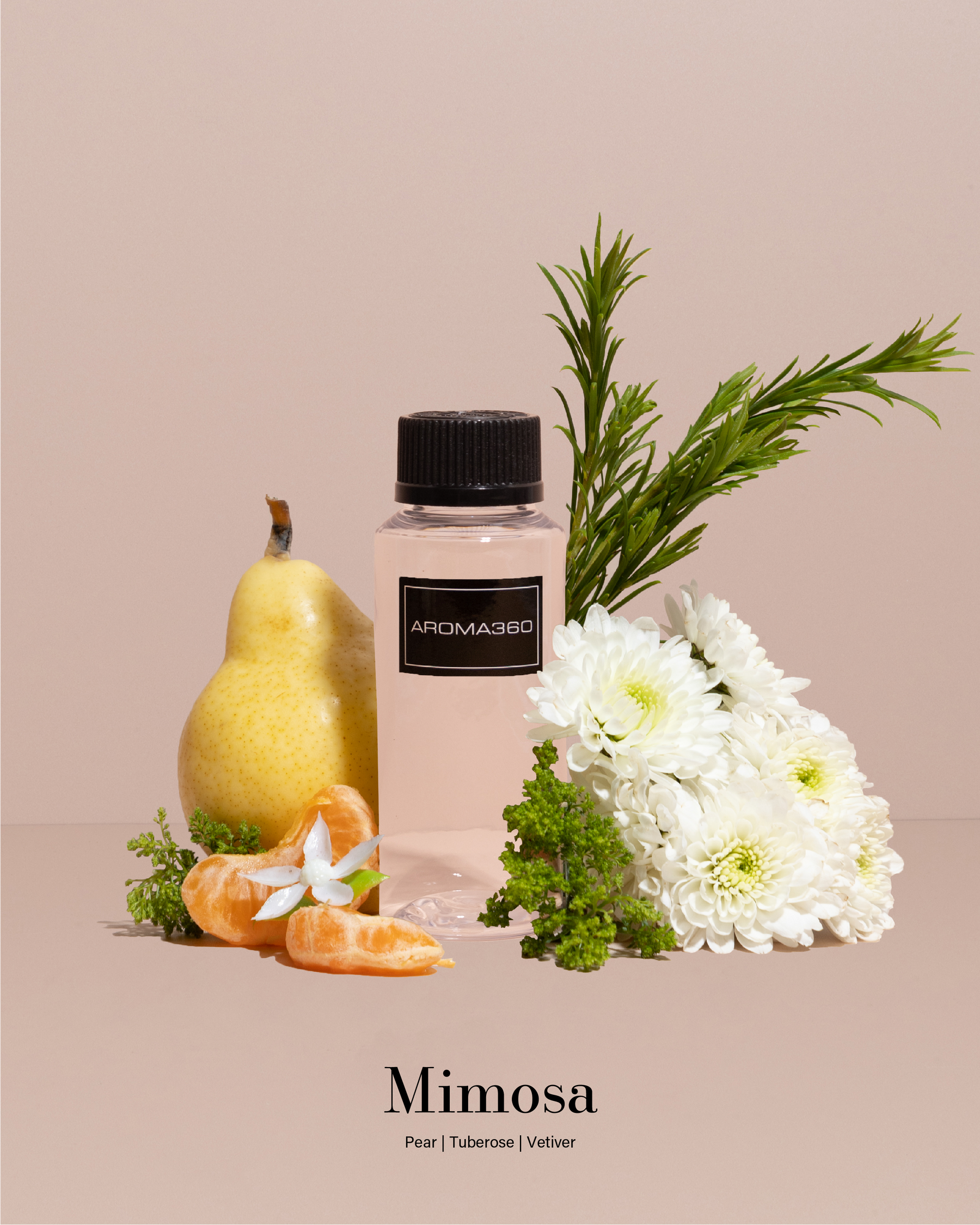 Seasonal Collection (Summer) Discovery Set