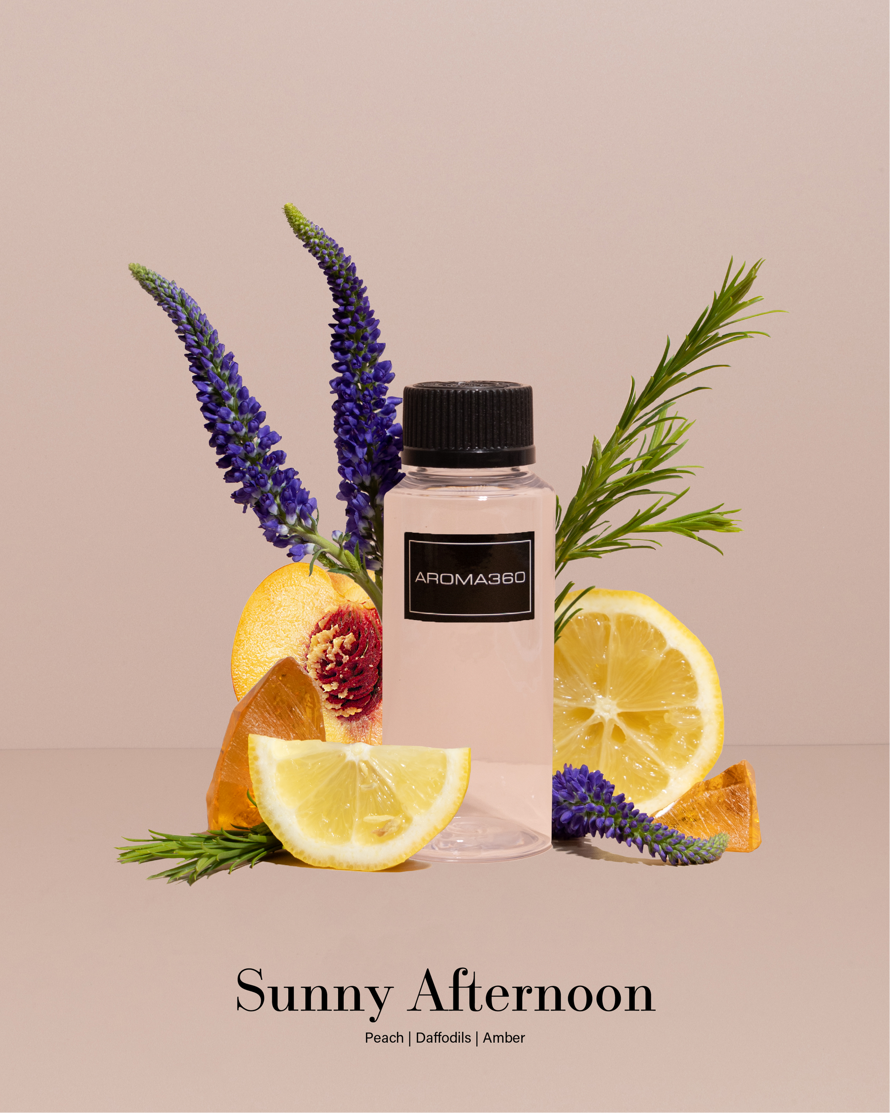 Seasonal Collection (Summer) Discovery Set