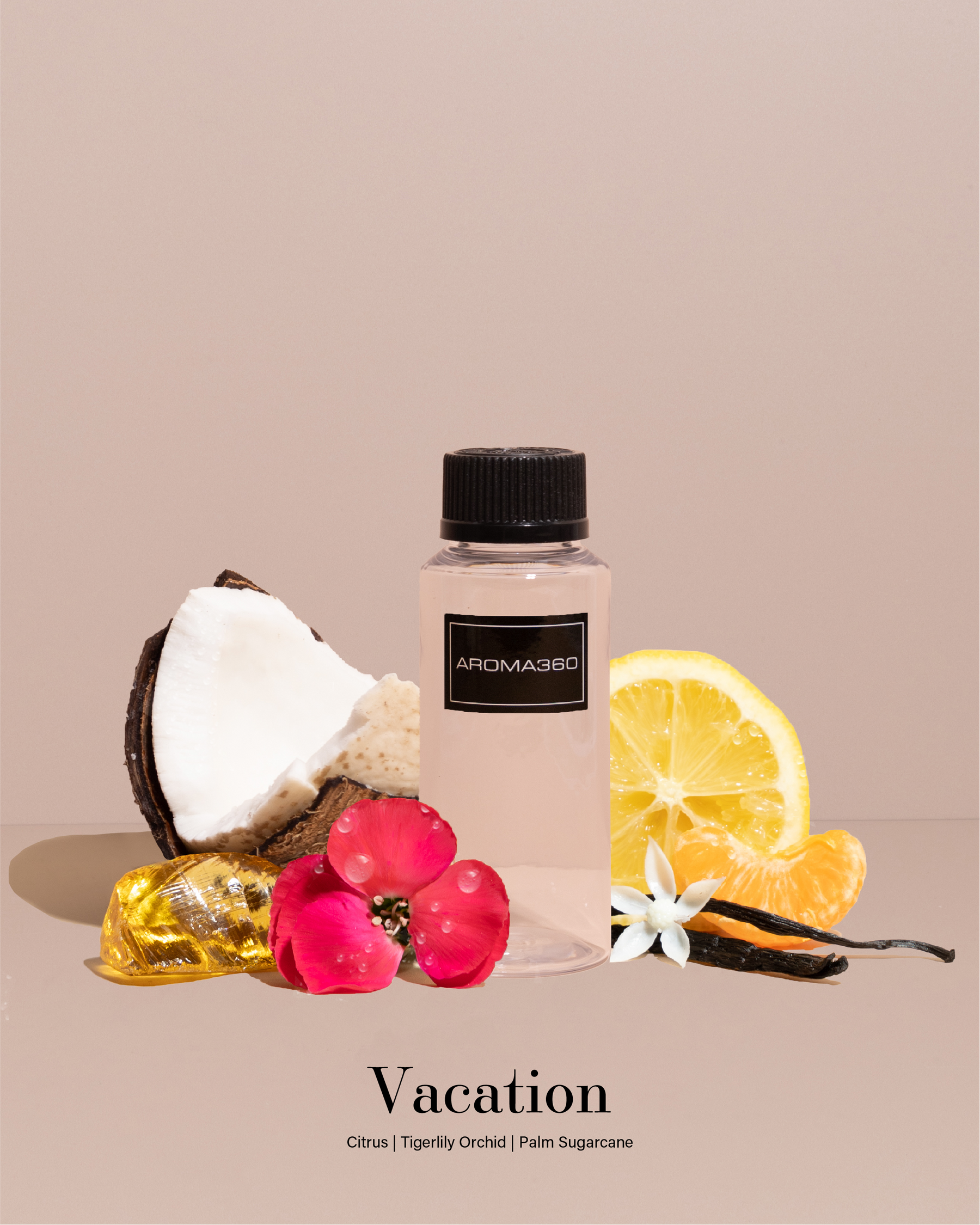 Seasonal Collection (Summer) Discovery Set