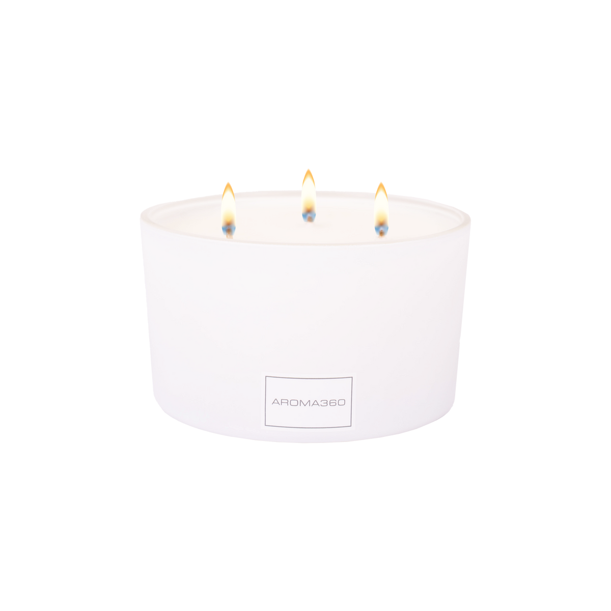Iris 3-Wick Candle