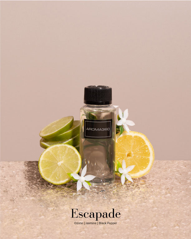 Fresh Scents Discovery Set