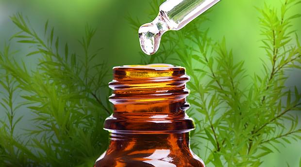 What is an Essential Oil?