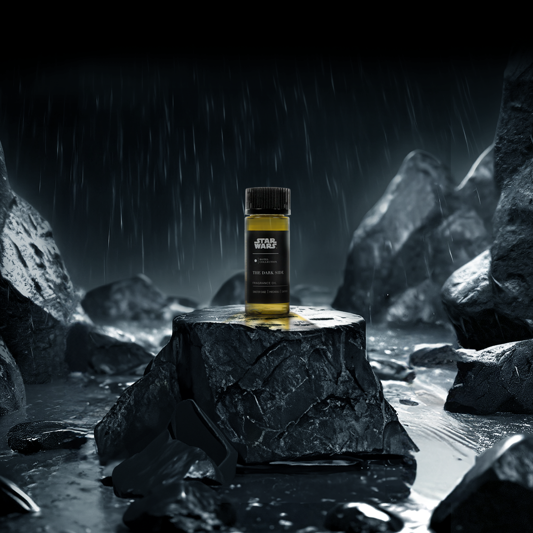 
                      
                        Star Wars ™ The Dark Side
                      