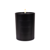 Black Velvet Single-Wick Candle