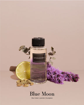 Aromatherapy Discovery Set